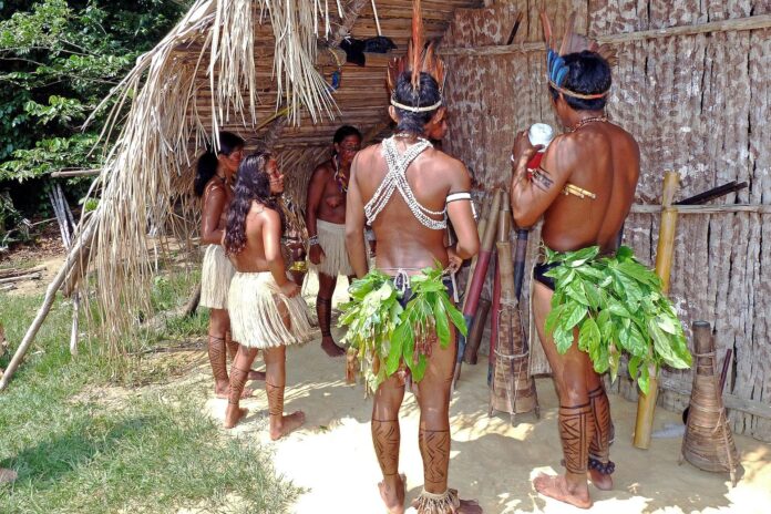 plemiona amazonii