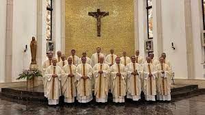 Papa Francisco: flamantes provincias, circunscripciones y diocesanos en Brasil